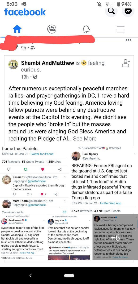 daniela_s5's tweet photo. The fact that it took less than 6 hours after the "protest" for members of my extended family to post conspiracy theories about the rioters.... 🤦🏻‍♀️ https://t.co/xo0pRiB30P