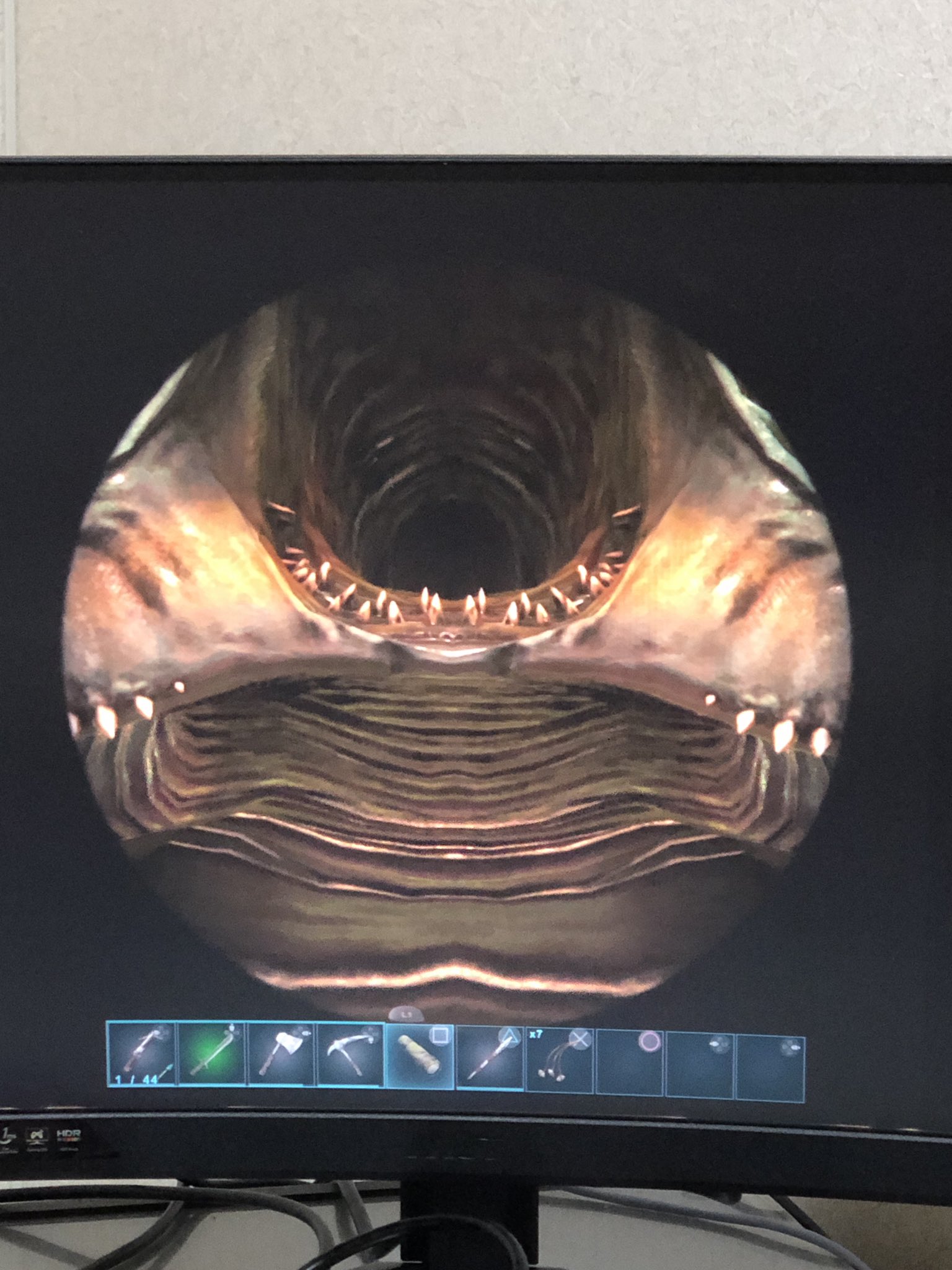 もちゆき Ark Ps４ 教えて Ark先生 画面になんか虫が張り付いたんですが これはなんぞや 放っておけばそのうち 取れますかね Ark 初心者 画面に虫 T Co Hccjm5x5uj Twitter
