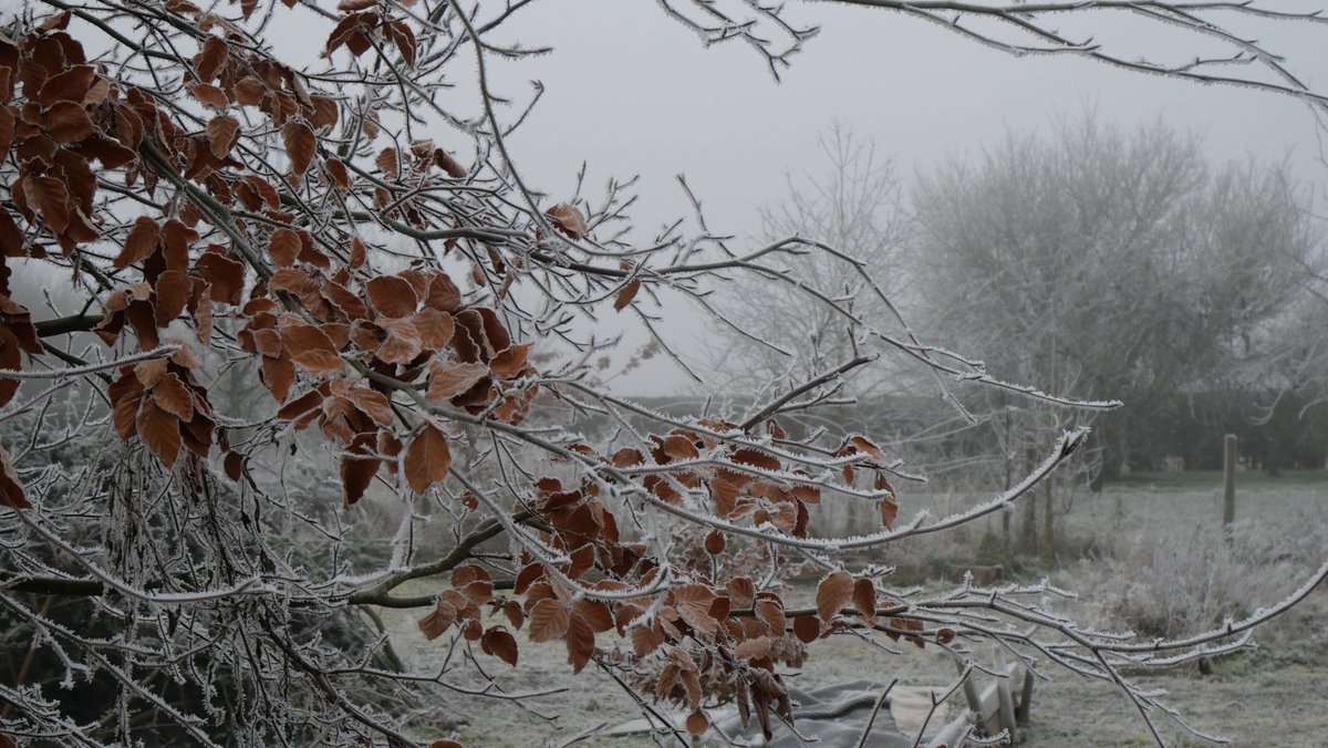 Powerforhealth's tweet photo. Beautiful frosty morning thought I would share a few photographs to hopefully cheer your day. #powerforhealth #MentalHealthMatters https://t.co/KlupZ3axb0