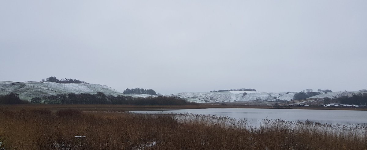 visitlemvig's tweet photo. Lemvig i hvidt..
#gåtur #natur #by #fjord #sø #bakker #lemvig #vestjylland https://t.co/M7TNoxHsIL