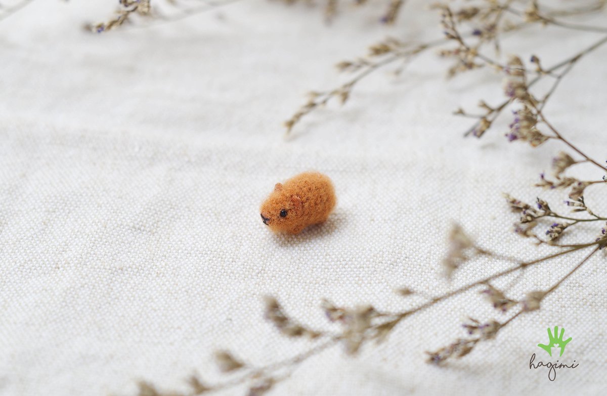 hagimishop's tweet photo. Micro Guinea pig crochet, miniature Guinea pig , tiny amigurumi animals https://t.co/943Ka6Yn0z #amigurumiguineapig #miniatureanimals #tinyguineapig #microamigurumi #miniaturepet #stuffedguineapig #guineapig #miniamigurumi #minicrochet #animalcrochet https://t.co/KllCMr6W0c