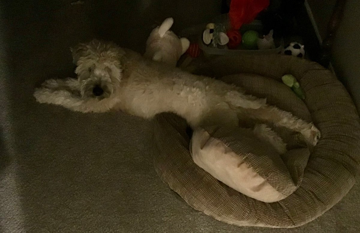 Mark Eby tweet media