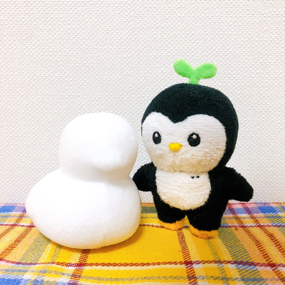 ☃️뽀동이도 눈오리 만들어따!!!❄️

#동표 #동표인형 #dongpyo #ドンピョ