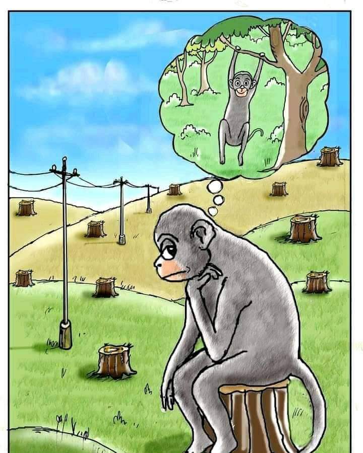 iamsiva_erode's tweet image. மரம் வளர்ப்போம், அனைத்து ஜீவராசிகளும் வாழ வழி வகுப்போம். இந்த உலகம் நமக்கானது மட்டும் அல்ல, நம்மை சுற்றி பல உயிரினம் உள்ளது, அதையும் வாழ வைப்போம்.

@Actor_Vivek #மரம்_வளர்ப்போம் #Save_Trees #Save_Environment #சுற்றுசூழல்_பாதுகாப்போம்