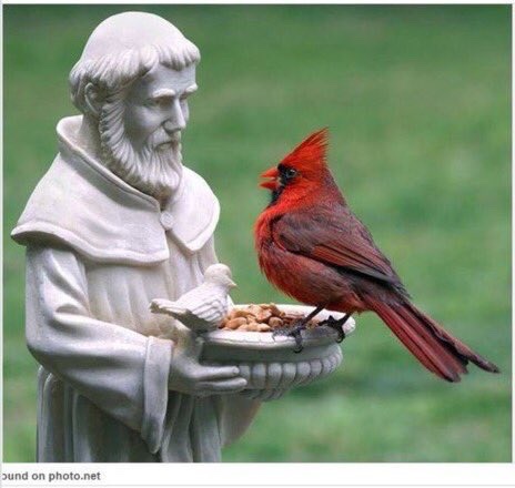 Lord, make me an instrument of Thy #peace.
Where there is hatred, let me sow love.
- excerpt from the
Prayer of Saint Francis