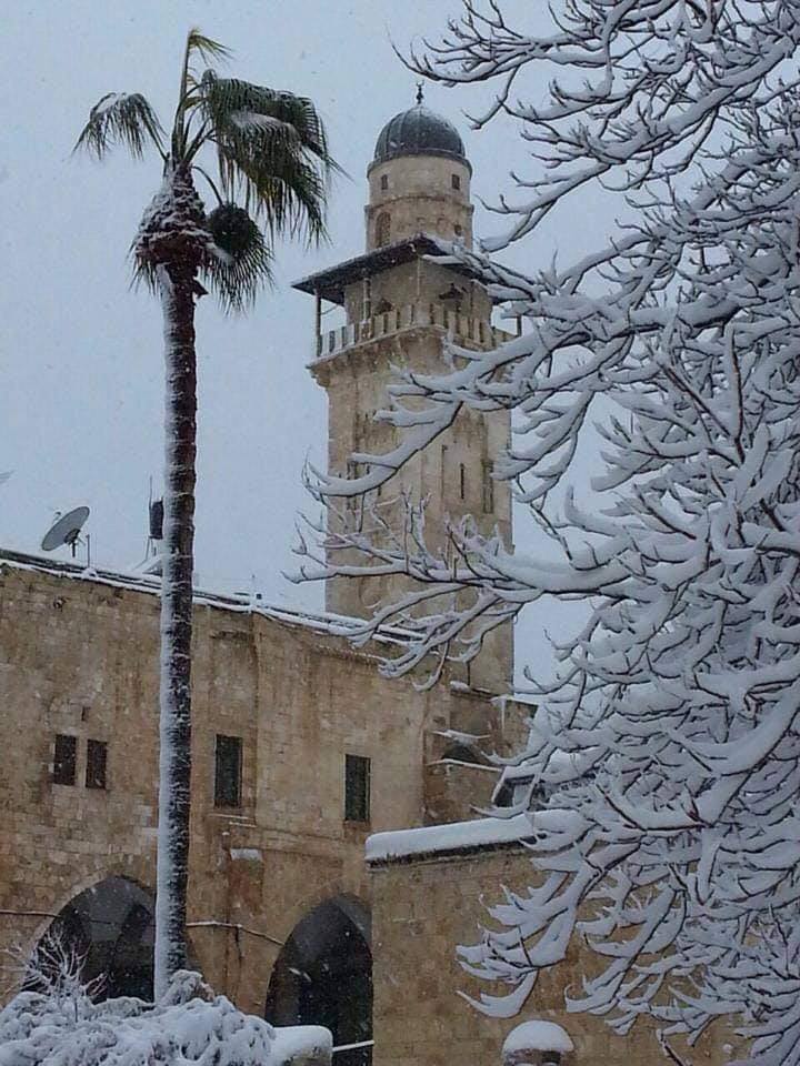 ar_haramain's tweet photo. Pemandangan Masjid al Aqsa dan Dom of the Rock di Musim Sejuk.
.
CREDIT : @ Life in Saudi Arabia
.
#SELAYANG #Kuang #Rawang #TamanTempler #GOMBAK #BatuCaves #GombakSetia #HuluKelang #AMPANG #BukitAntarabangsa #LembahJaya https://t.co/Z4TyWImNSY