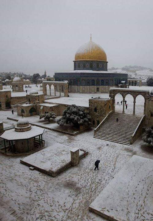 ar_haramain's tweet photo. Pemandangan Masjid al Aqsa dan Dom of the Rock di Musim Sejuk.
.
CREDIT : @ Life in Saudi Arabia
.
#SELAYANG #Kuang #Rawang #TamanTempler #GOMBAK #BatuCaves #GombakSetia #HuluKelang #AMPANG #BukitAntarabangsa #LembahJaya https://t.co/Z4TyWImNSY