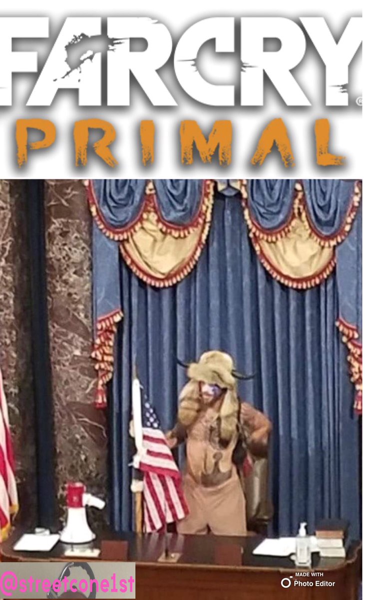 anthonysully90's tweet photo. #WashingtonDC #January6th #Vikings #Amerika #StopTheSqueal https://t.co/Fdm7huNkew