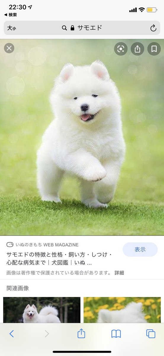 ユメ さすがっすパイセン 私も赤ちゃんをアイコンにすればチソンを匂わせできますよね