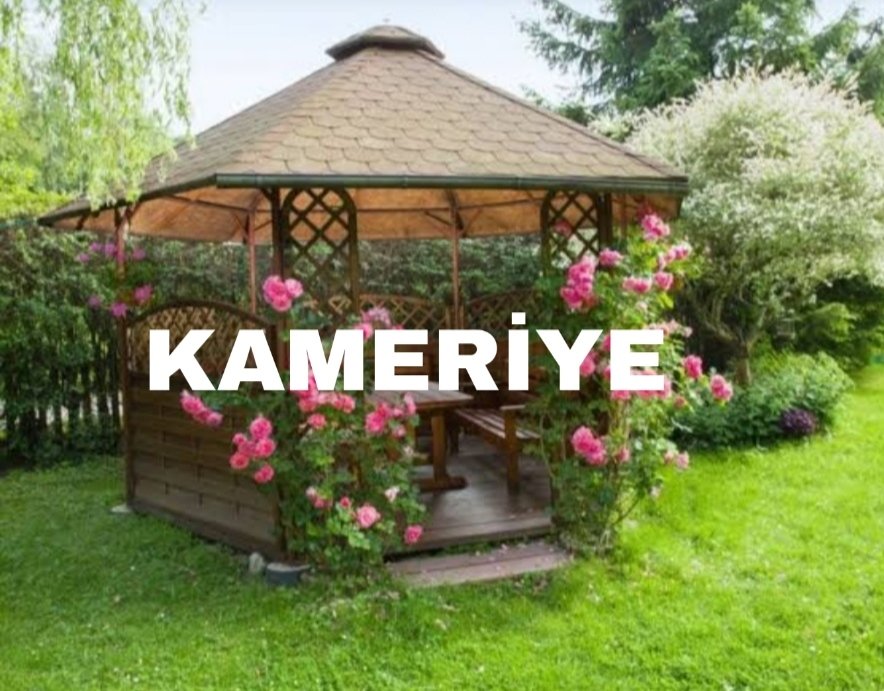 Türkçem📚 tweet media