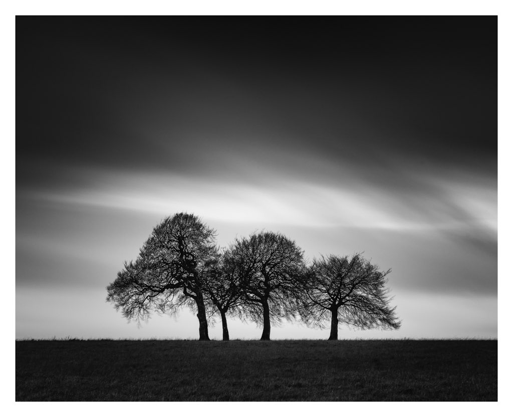 No misty venture out today but got this from a cold, bleak trip up onto #salisburyplain on 28 Dec.....lovely clump of #beechtrees. @VisitWiltshire @BBCWiltshire #timeforwiltshire #wonderfulwiltshire #igerswiltshire @WiltsTG @WiltshireLife #wiltshirecountryside #explorewiltshire