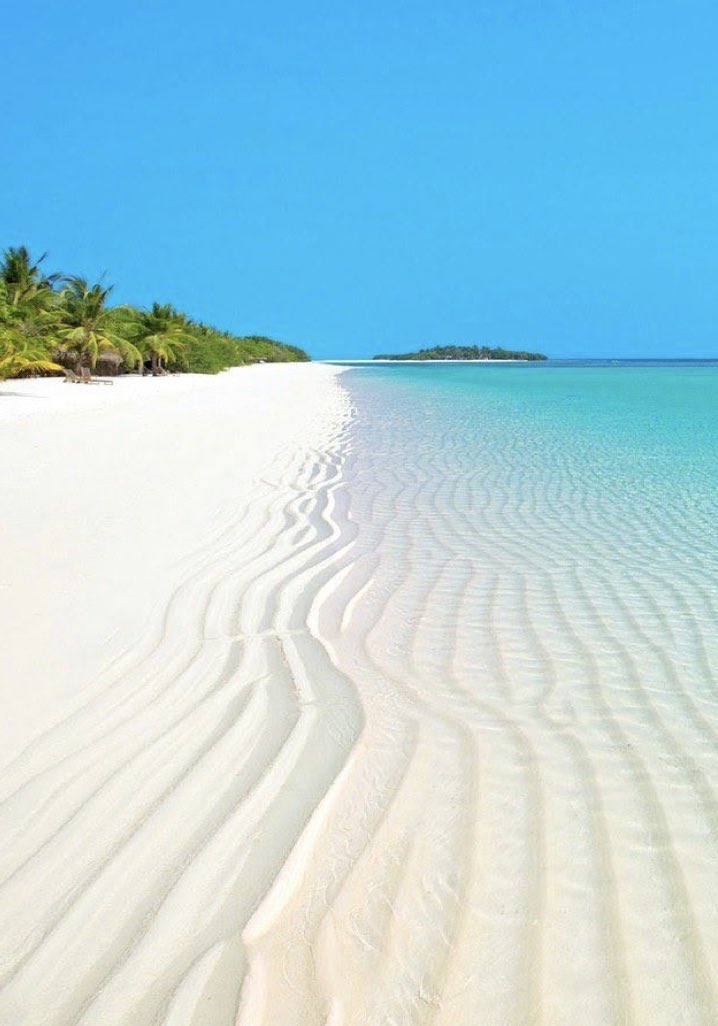 niia_msk's tweet photo. J’attend avec impatience https://t.co/fvRl6o4r4C