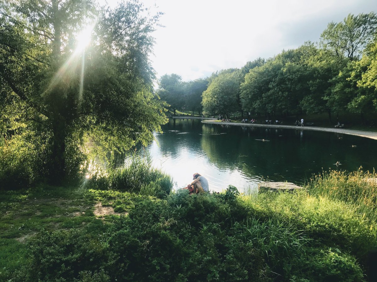 SurplaceMedia's tweet photo. Parks are great. Here is Park Lafontaine last summer. 
_
Les parcs sont super. Voici parc Lafontaine l'été dernier.

 #parkappreciationpost #parkappreciationpost #tbt #mtlmoments #quarantine #summer2020 #summer #nostalgia #mtl #montreal https://t.co/8vuk0TwGus