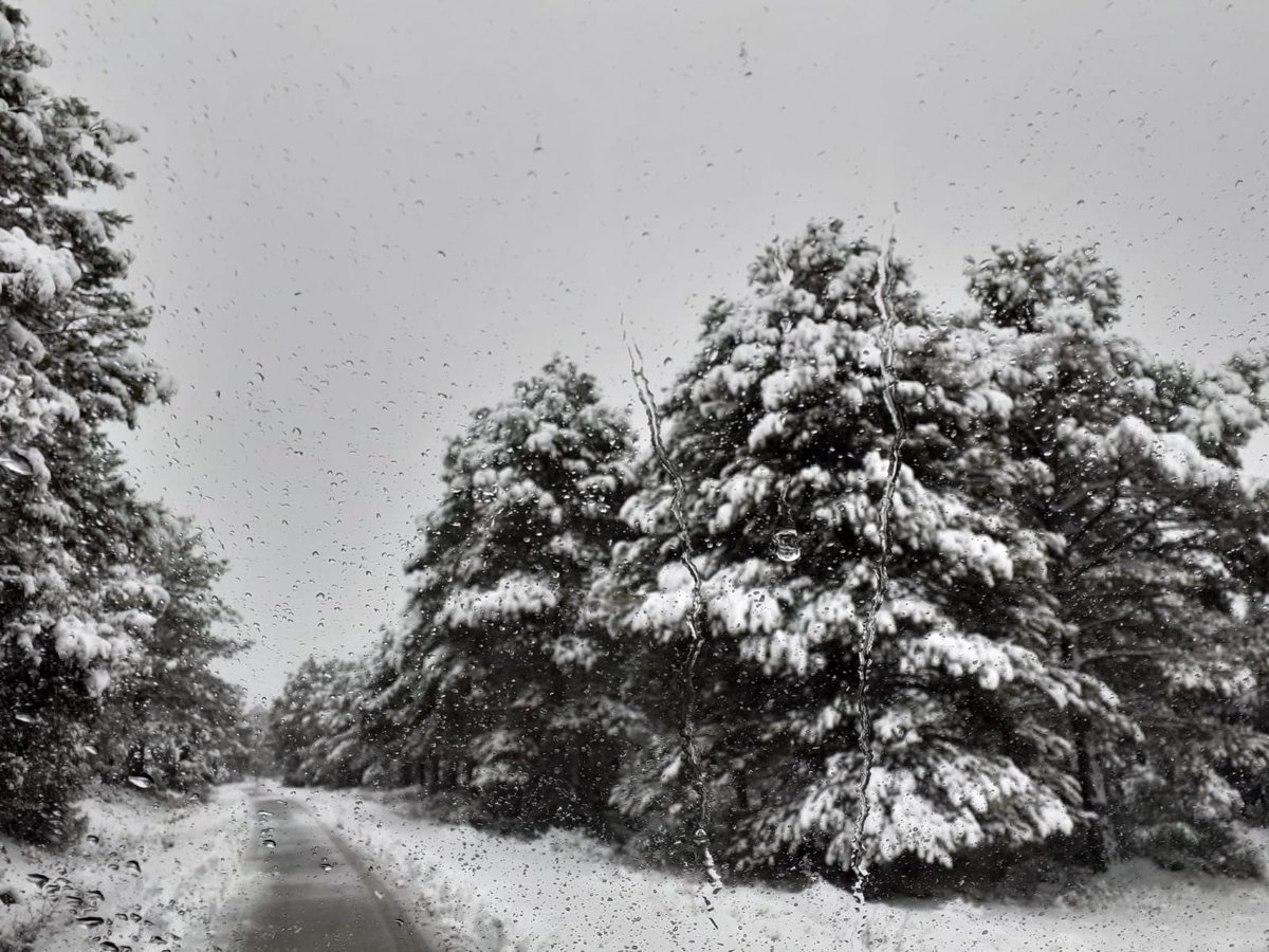 Aunque parezca mentira es Murcia. Mountain Men con un poco de acho, pijo y luego aluego!
Tratamientos Selvicolas para Gestión Forestal Sostenible también en condiciones adversas.