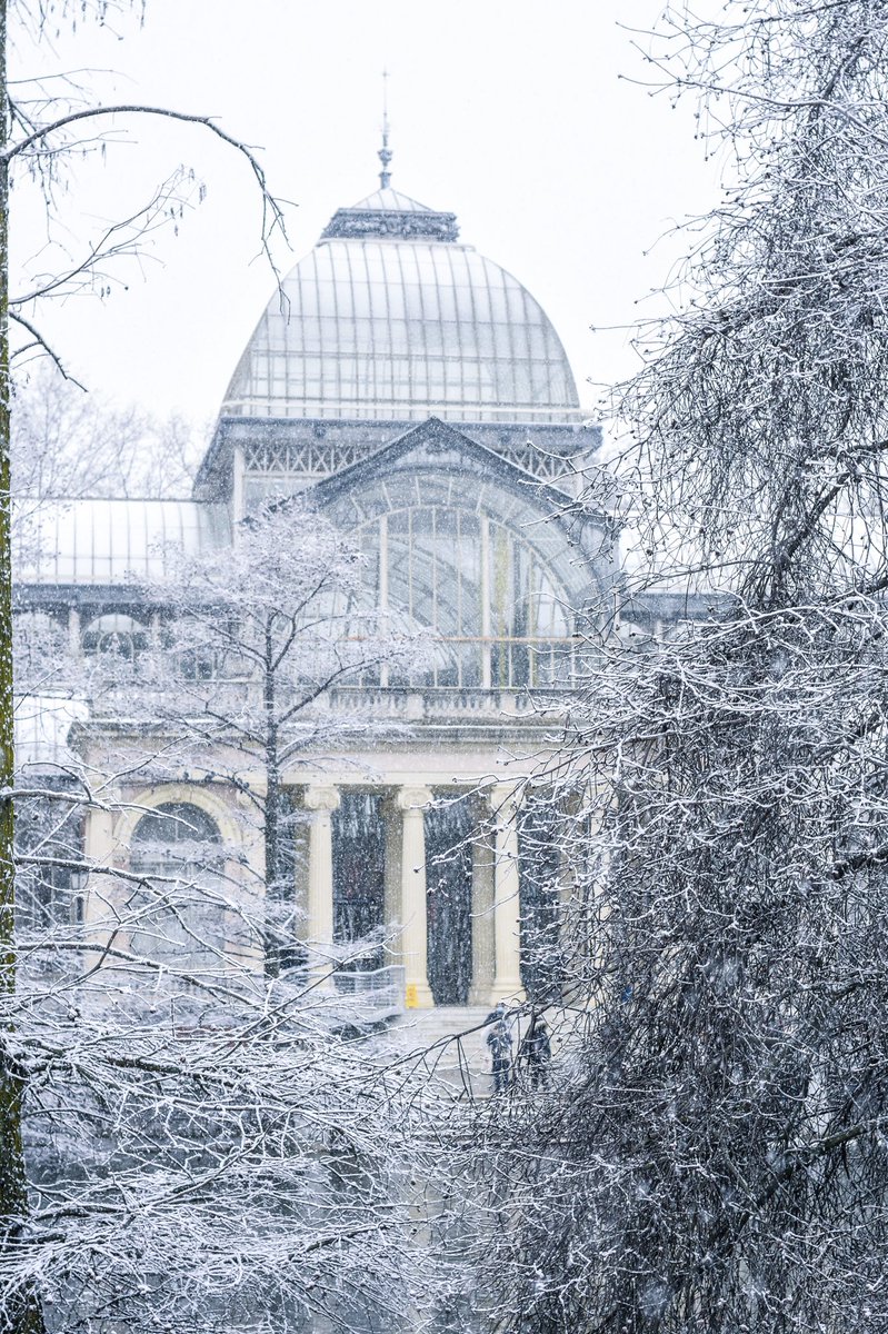 GabiWazowski's tweet photo. «Año de nieves, año de bienes» ❄️💚
Madrid, 7 de enero. https://t.co/MTnph3vYHU