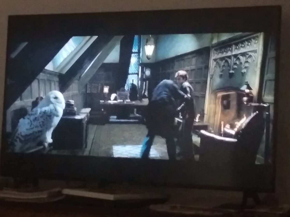 fran23091990's tweet photo. Tarde de maratón de Harry Potter👦👓⚡📙 https://t.co/QLtLRyUS1n