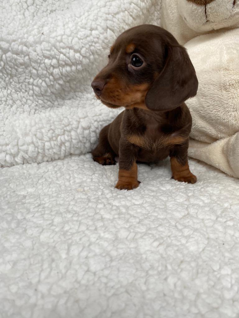 Sinead McNamara tweet media