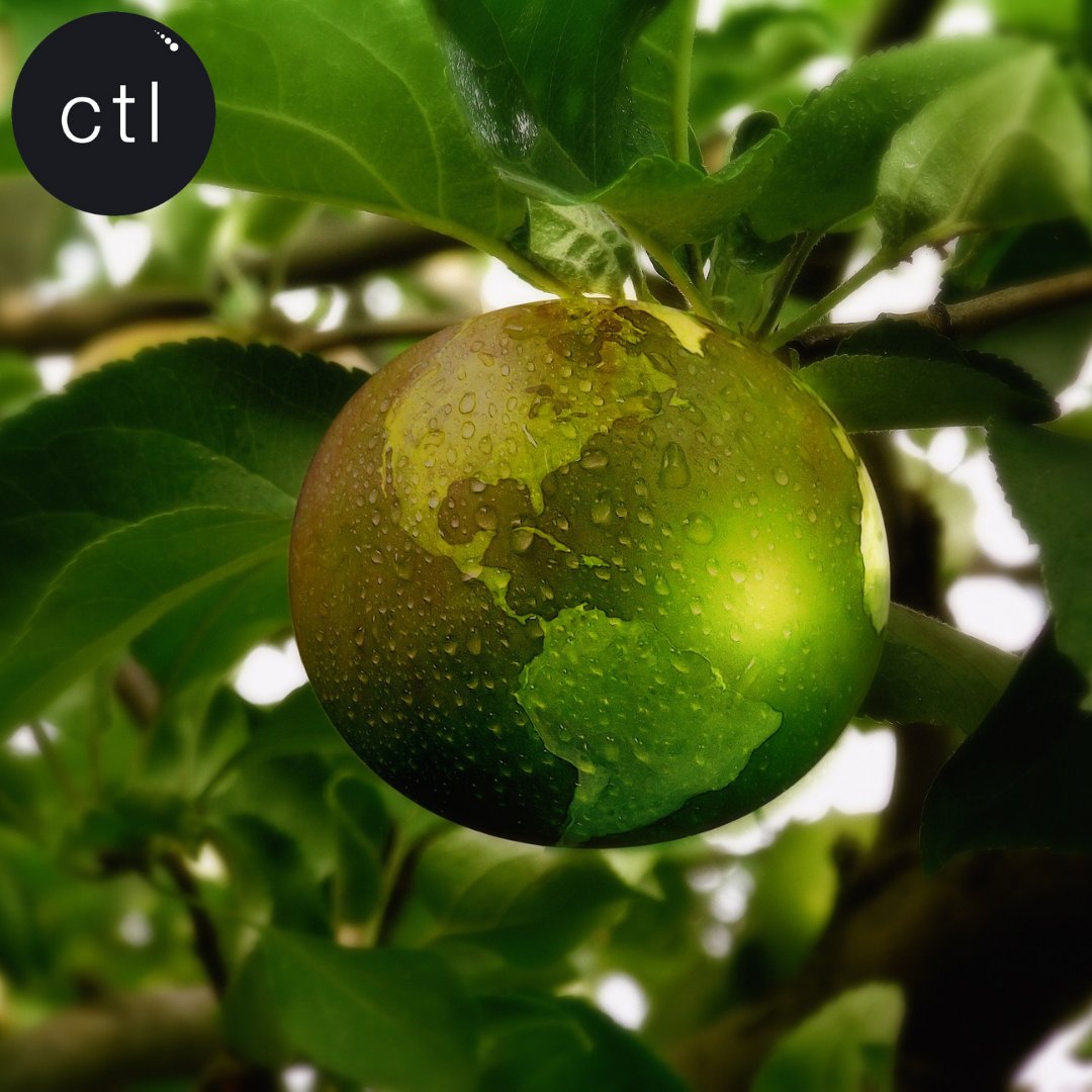 ctlcomunicacio's tweet image. 🔝 "Ja no hi ha 'engagement' amb el consumidor si no s'és sostenible".
☑ Principal conclusió del 'webinar' 'Influencers for Good' que va servir per debatre la importancia que té per les marques la sostenibilitat i el currículum social.
@mkdirecto 
▶ marketingdirecto.com/anunciantes-ge…