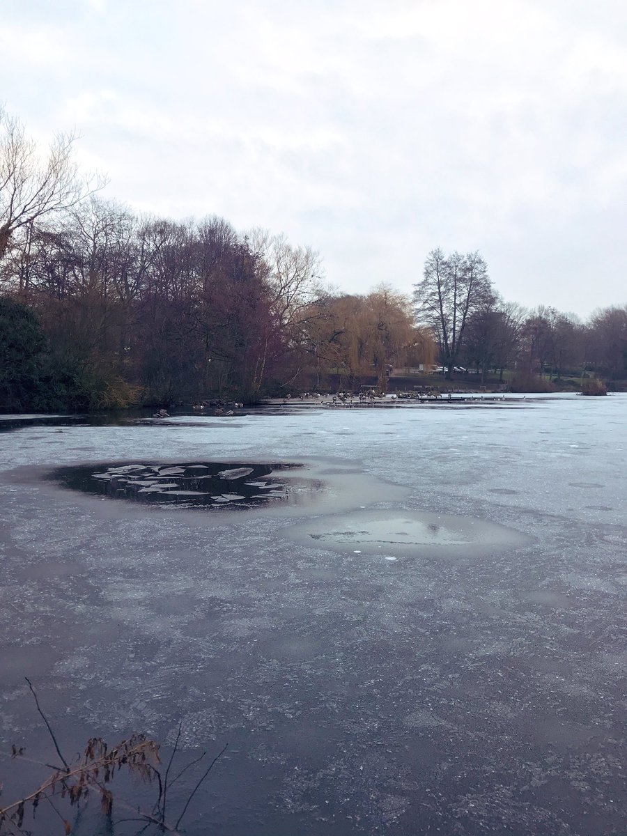 iwangronow's tweet photo. Really quiet on our walk today. Icy, perfect @Iceman_Hof conditions #fullyin https://t.co/KjHtVkBCot