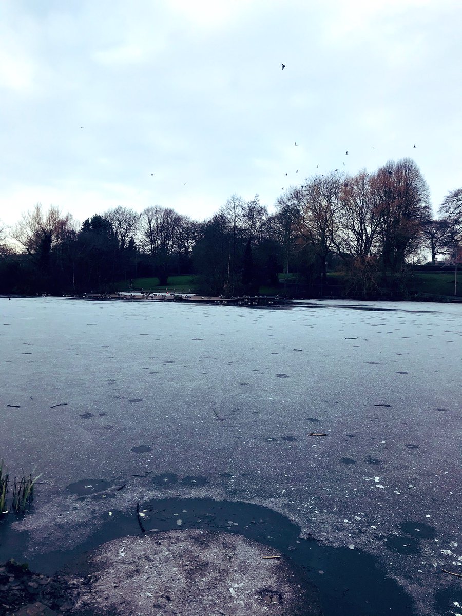 iwangronow's tweet photo. Really quiet on our walk today. Icy, perfect @Iceman_Hof conditions #fullyin https://t.co/KjHtVkBCot