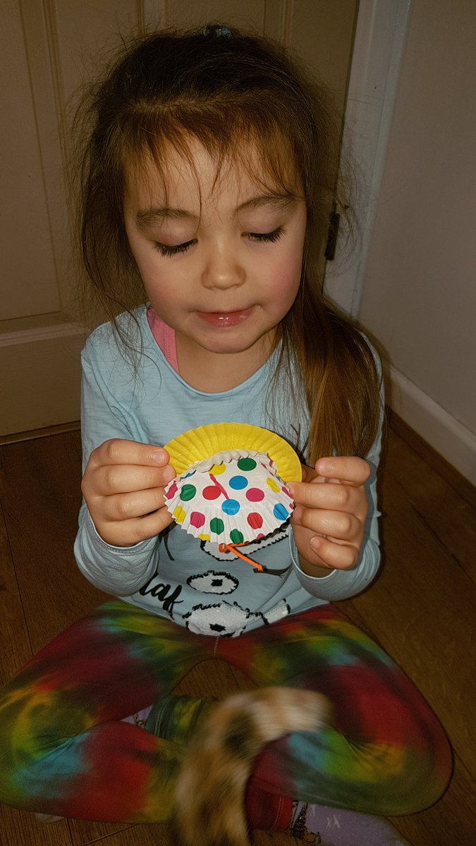 OriginalSHunter's tweet photo. @CwmbachPri Effie made Jess the Cat a rosette because Jess is her best friend and plays games with her. https://t.co/bW7OFqRDe9