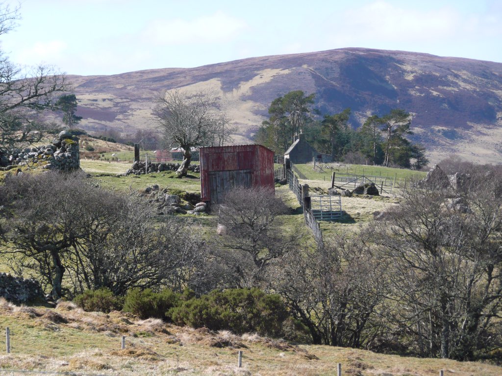 I know it is an odd shape for a house. But it’s a very common shape for many of the sheds around Rogart. Upstairs we have a big landing/playroom/open space. The children’s rooms are a bit like monastic cells & small, with a platform to sleep on above their desks.
