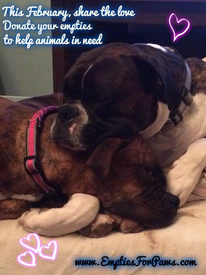 Share the Love. Donate empty beer, wine/liquor bottles. Organize bottle drive between family/friends/coworkers collect 4 favorite animal rescue. Find bottle drives lists on emptiesforpaws.com  Donate empties all year not just Feb. Over 570K raised since 2015 #Recycle4Animals