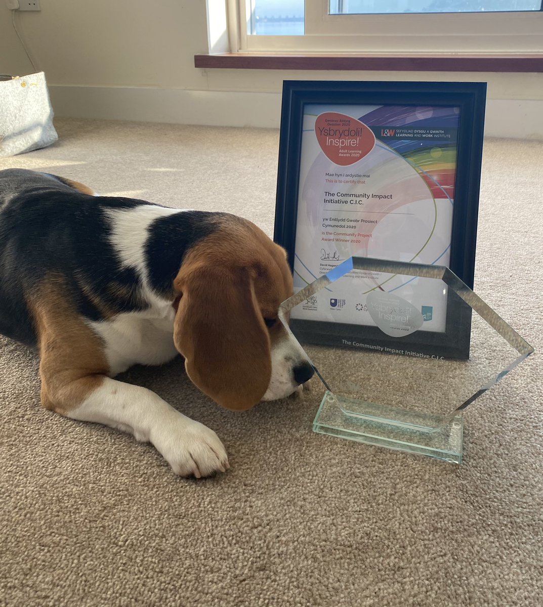 TheCiiUK's tweet photo. We were absolutely thrilled to win a 2020 @LearnWorkCymru Inspire Project Award for our work in our local communities. 

So it was a lovely start to 2021 to receive our trophy and certificate, which is being closely inspected by the Cii mascot, Ralph. 

#award #LearnWorkCymru https://t.co/sGDPEFO077