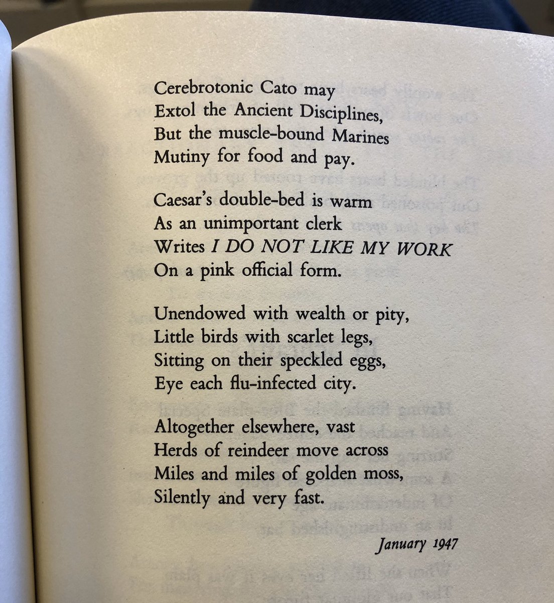 Kamran Javadizadeh tweet media