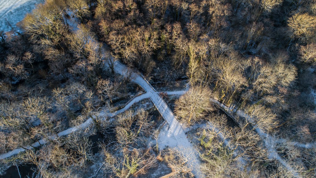 Snow day in Cork..well smattering of snow, but we will take the small wins. #snowday #corkfromthesky #staylocal