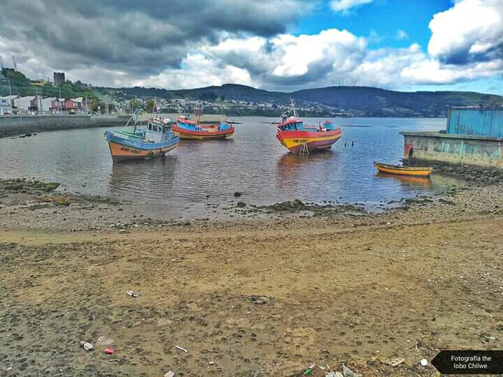 ChilweThe's tweet photo. Cuando el mar te da un descanso.

Muelle de ancud. #Fotos #foteando #fotografo #photo #photography #colores #fotografía #pescador https://t.co/hJkmwPwO6Z