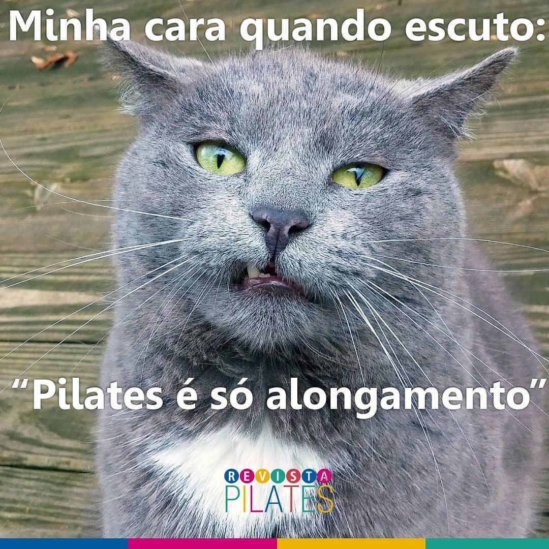 revistapilates's tweet photo. Só alongamento?
Ah, não! Para o mundo que eu vou descer. 😂😂😂
#revistapilates #pilateslovers #lifestyle #pilates #brasilpilates https://t.co/ZpCSELDyjL