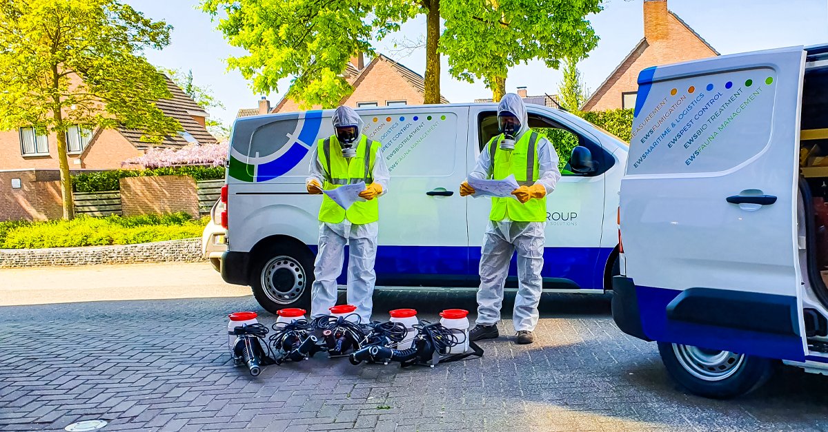 EWS Group tweet media