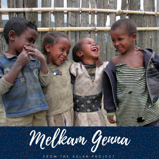 TheAslanProject's tweet photo. #TheAslanProject sends our best wishes to all Ethiopians, at home and abroad, who are celebrating #Christmas today! #MelkamGenna https://t.co/aB3TwyTdPM