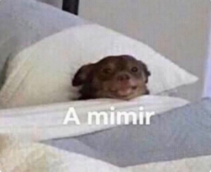 franpierna's tweet photo. noooo como que no se va a poder salir despues de las 23hs!!?? que broncaa 😡😡😡

yo a las 21:30 todo el 2020: https://t.co/pMIJC8mnb1