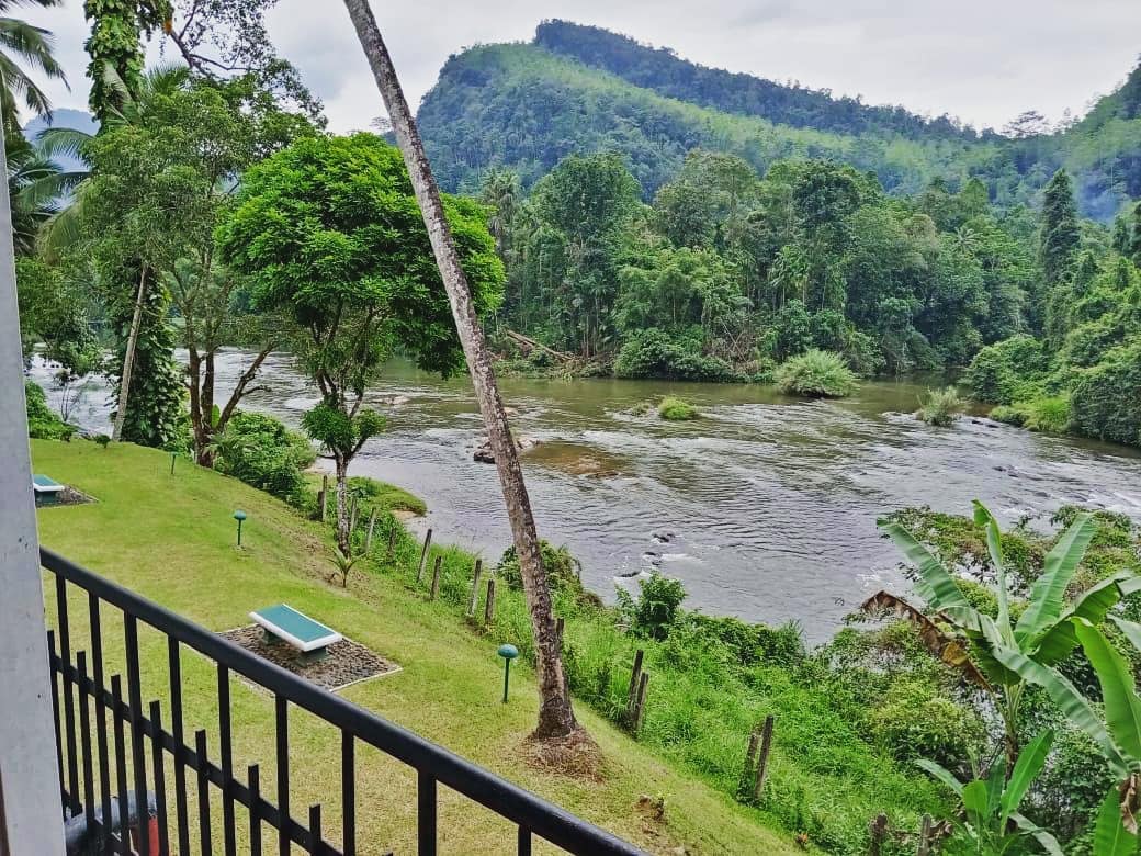 Happy New Year! 💚
Beautiful Kitugala
I have swum across this river, 🏊‍♀️ it is famous for rafting and lots of other sports during season too. Such a special place to visit in Sri Lanka! 

#srilanka 
#kitugala 
#river 
#rafting 
#srilankabeauty 
#taratravelmakesdreams 
#swimming