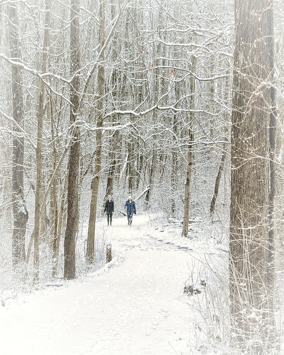 New artwork for sale! - "Powdered Sugar" - fineartamerica.com/featured/powde… @fineartamerica