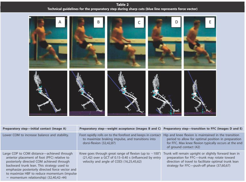 Ground contact times  for PFC & FFC (~0.5 s), while APFC  (~0.2 s).As such, athletes tend to display a “dual-foot contact” on PFC & FFC to potentially reduce redirection requirements.