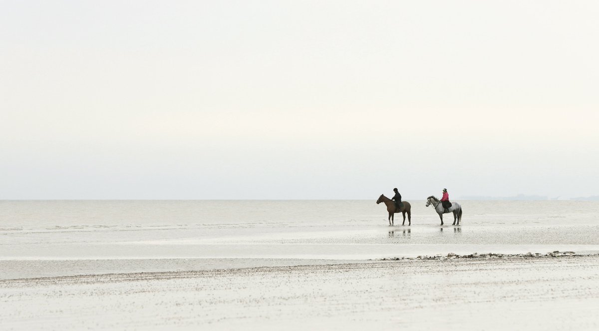 I've been catching up and processing a few photos from before Christmas. Quite pleased with this one of some horses on the beach... see flic.kr/p/2kq3ntV #Flickr