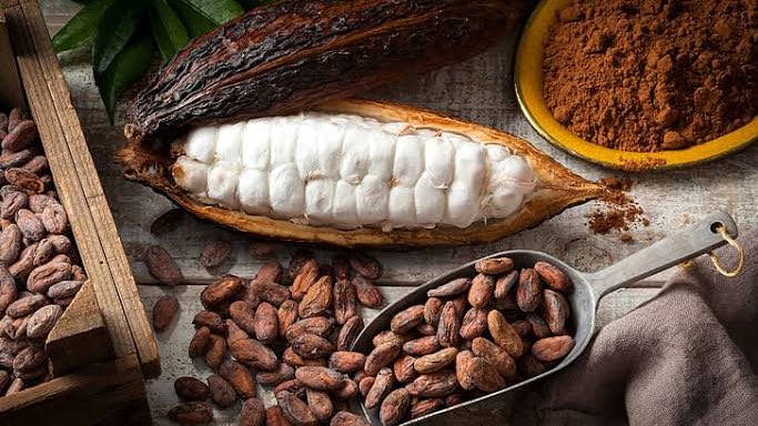 will make you FEEL the REAL Biological & Spiritual Cacao benefitsyes it has woo-woo benefits (chakras)——Make sure to also consume a Cacao with the “RAW” labelAlthough there’s not 100% “raw” CacaoIt refers to Cacao that has been MINIMALLY HEATED AND PROCESSED