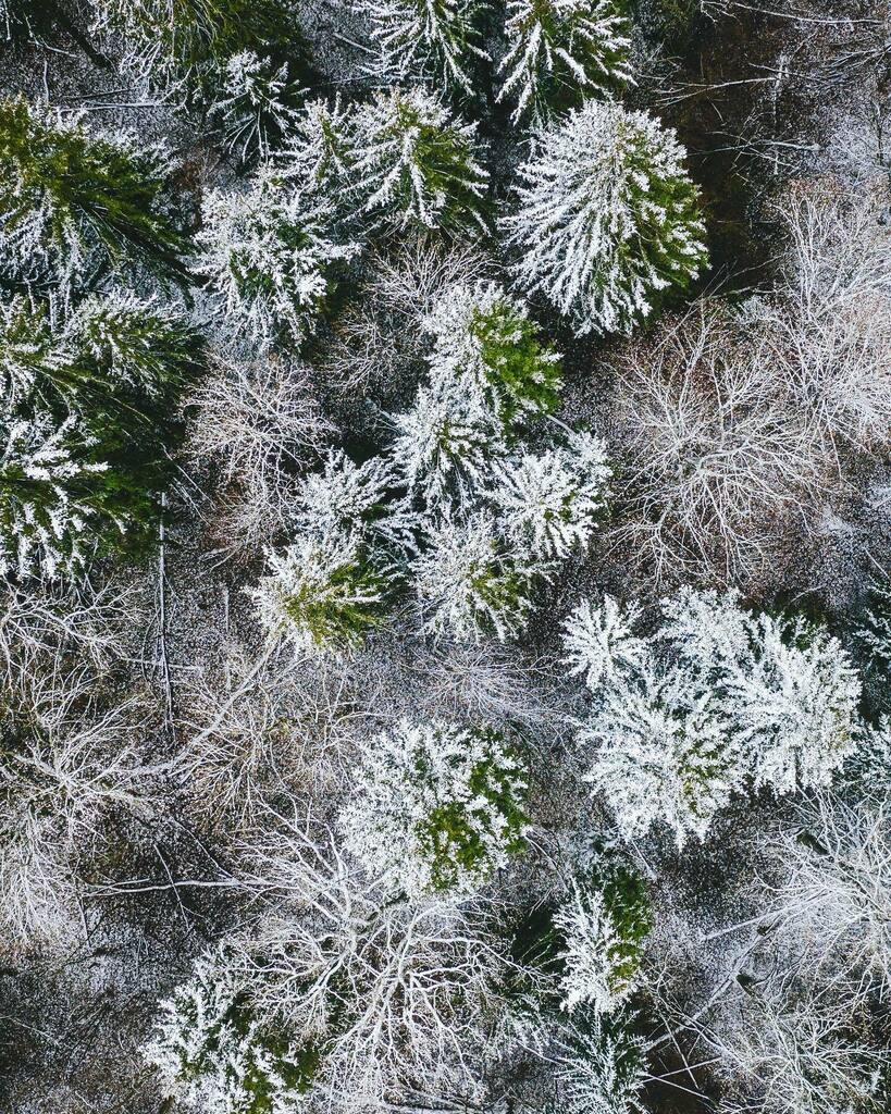 NejauNet's tweet photo. Sugar #Kaunas county #Lithuania #mavic2pro #Lietuva #dronas #skypixel #djieurope #Mavic2 #Kaunasaerial #VisitKaunas #djicreator #djimavic2pro #realisbeautiful #hasselblad #VisitLithuania #kaunas2022 #yourshotphotographer #andriusaleksandravicius #winter2… https://t.co/PdJTAt5Zop https://t.co/ZDgi0reAX7