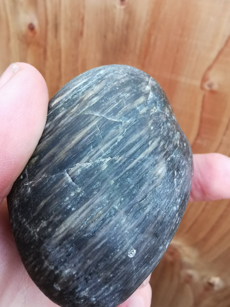marcie_c_john's tweet photo. Hey #Geologist people of Twitter! Can anyone identify this rock for me? Found on an exposed beach on Vargas Island, near Tofino BC. Beach tumbled. Long "grains" that run internally too. Beach tumbled. Lots of rocks like it in the area too! #geology #rockidentification #rock https://t.co/yc3e24veyA