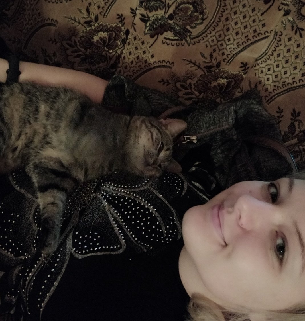 AngiTheTimeLady's tweet photo. Find someone who looks at you, like my cat looks at me😻❤️ https://t.co/YVZsZlyqFu