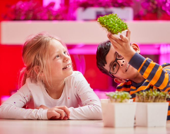 EatThis.info (@eatthis_network) on Twitter photo Let's meet @𝗠𝗲𝘁𝗮𝘇𝗲𝘁𝗙𝗼𝗿𝗺𝗳𝗹𝗲𝘅, contributor to #EatThis_network. They help professional growers worlwide with solutions for cultivation & logistics but also invest in future generations by being involved in the <a href="/GrowWizzKid/">GrowWizzKid 🌱🍅🌍🥗</a> program where kids learn to grow their crops Let's meet @𝗠𝗲𝘁𝗮𝘇𝗲𝘁𝗙𝗼𝗿𝗺𝗳𝗹𝗲𝘅, contributor to #EatThis_network. They help professional growers worlwide with solutions for cultivation & logistics but also invest in future generations by being involved in the <a href="/GrowWizzKid/">GrowWizzKid 🌱🍅🌍🥗</a> program where kids learn to grow their crops