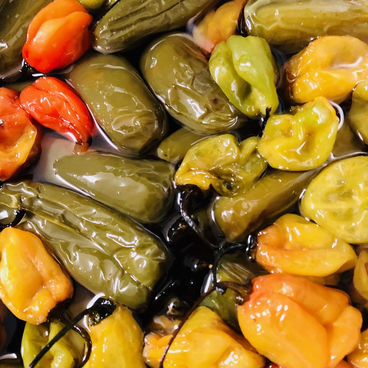 This jalapeno simple will keep you nice a warm on a brisk day, like today.  @sassafrasbar is open for cocktails &amp; snacks at 4pm.  We have heaters &amp; HOT drinks to keep you cozy.  See you soon chums!
#sassafrasbar #oldcityphilly #bartenderlife #hot #cocktails #drinks #snacks #yum