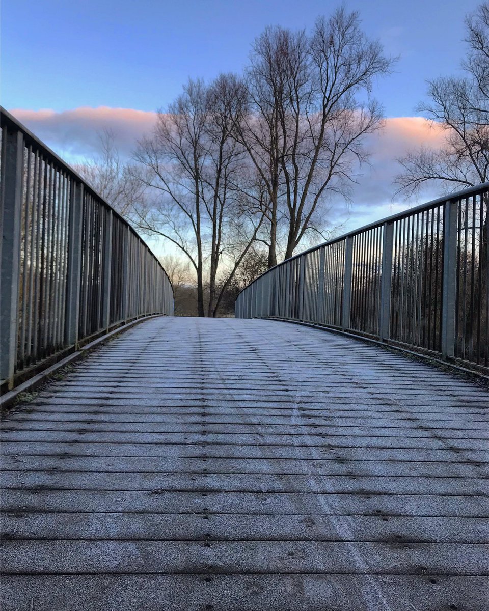 PrincessNarnia's tweet photo. @PositiveTwenty1 #Positive21TechnicalChallenge #positivelines #photooftheday #nature #thursdaymorning #thursdayvibes #ThursdayMotivation #AngliaPOTW https://t.co/giZTWVrMUv