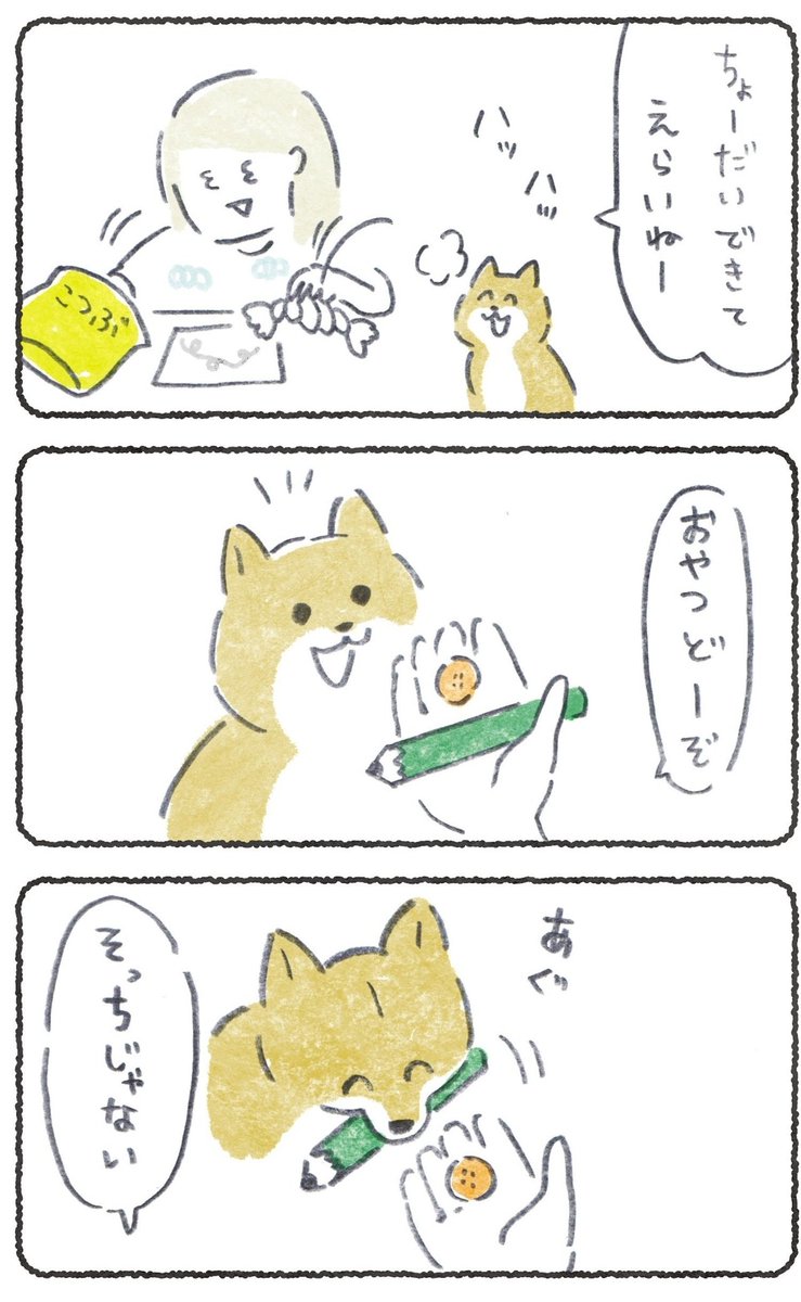 あそび足りなかった犬
#豆しばこつぶ 