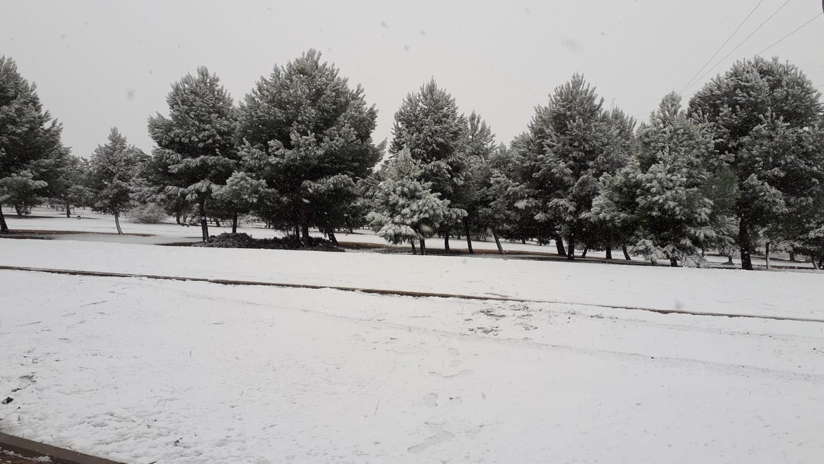 MarisaPinta's tweet photo. Nevando en Madrid capital, increíble pero muy bonito. https://t.co/L9JOaopbSf