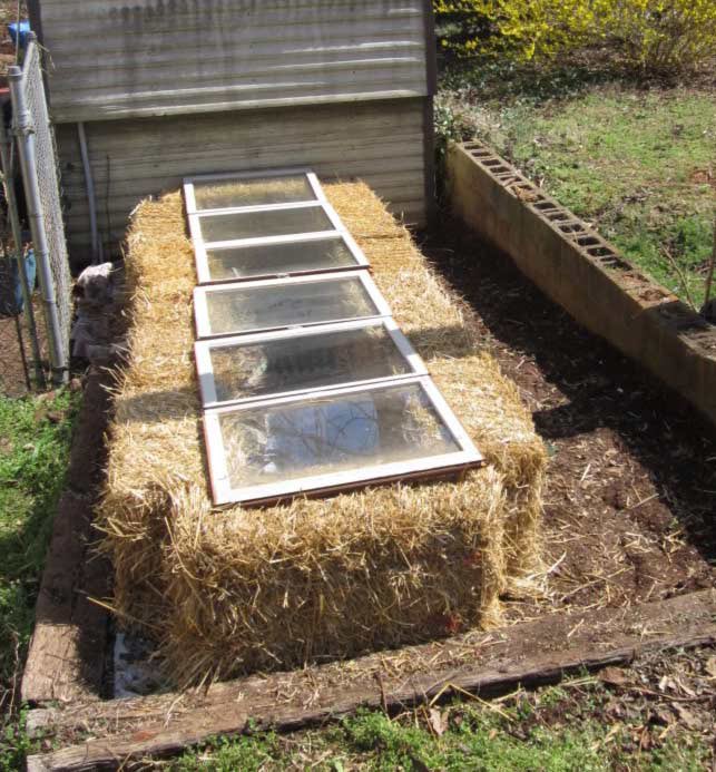 815Plant's tweet photo. Here’s a neat no build cold frame. https://t.co/LJhErOMIxB