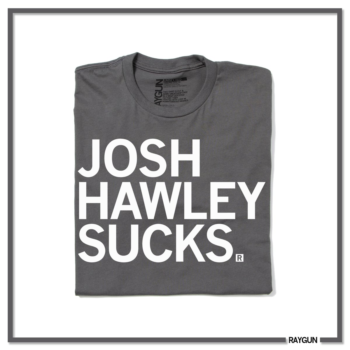 RAYGUNshirts's tweet photo. Josh Hawley: just your typical Stanford-Yale-educated lawyer who loves Jesus, kisses Trump's ass, and supports the occasional violent insurrection against democracy! 

Missouri's not sending its best. 

Proceeds go to defeating Josh Hawley. #raygun https://t.co/3nBZBuaijn https://t.co/MZj8qHdN4Q